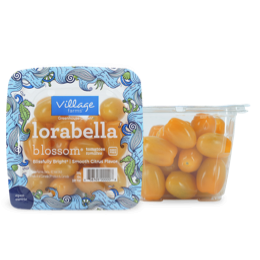 Tomatoes in packaging