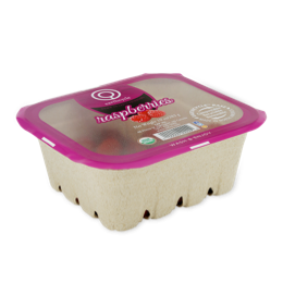 Tomatoes in packaging