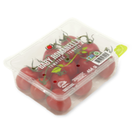 Tomatoes in packaging