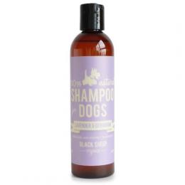 Dog Shampoo Pet Product