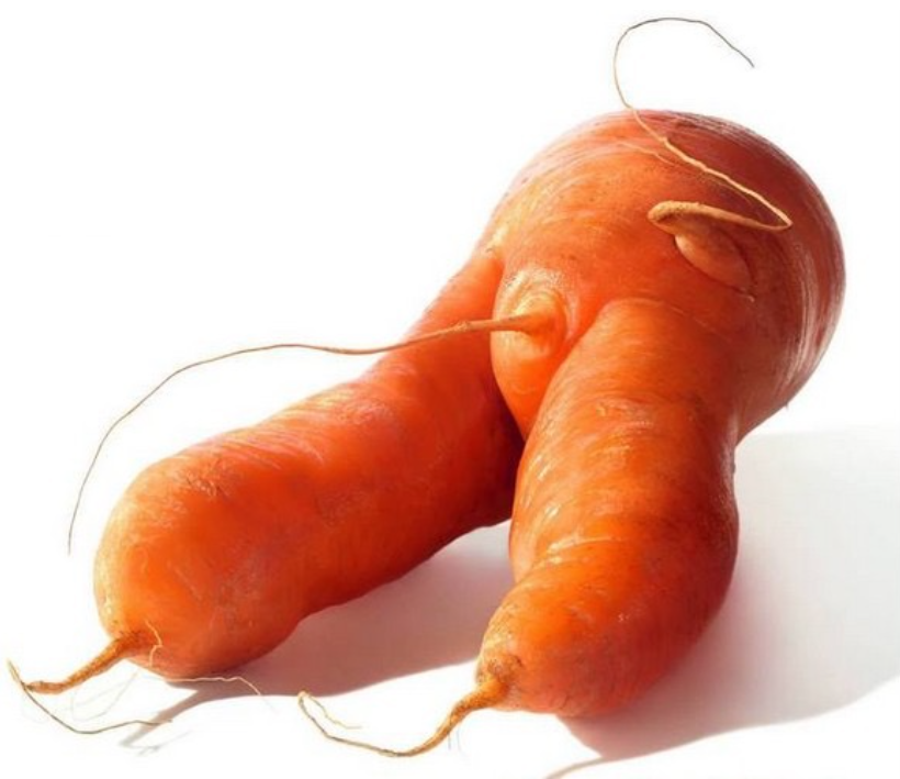 Screen Shot 2016-02-10 at 9.11.18 AM