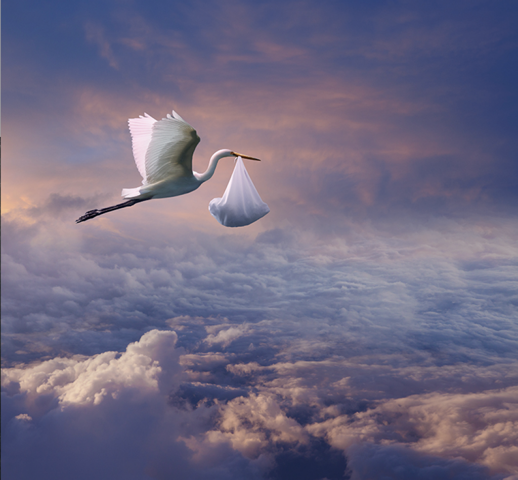 associated-labels-and-packaging