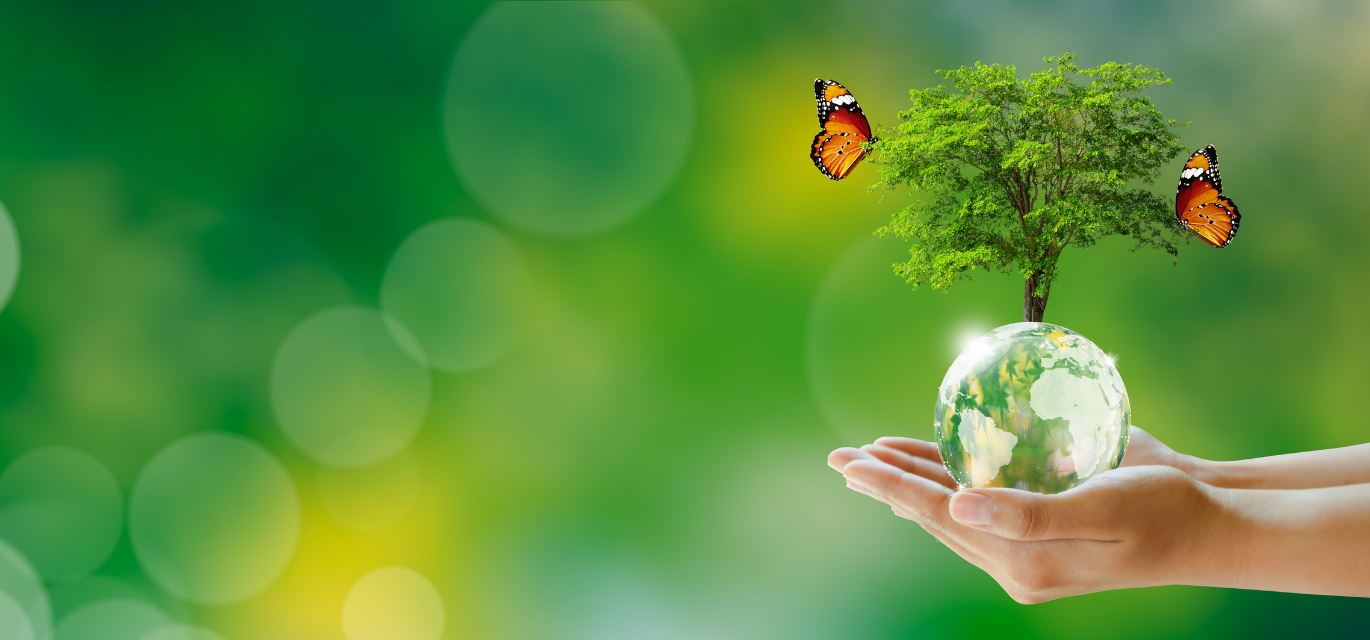 sustainable earth day 