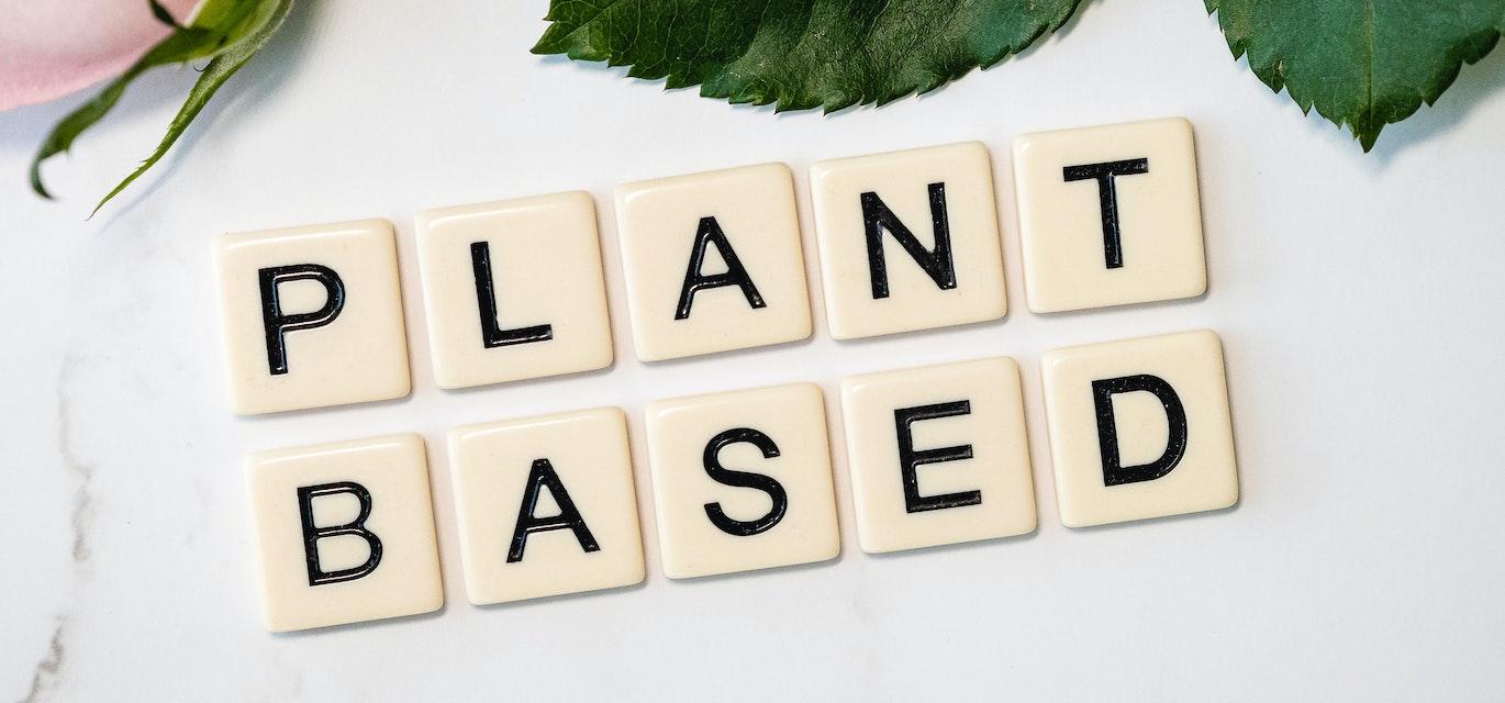 plant-based food industry